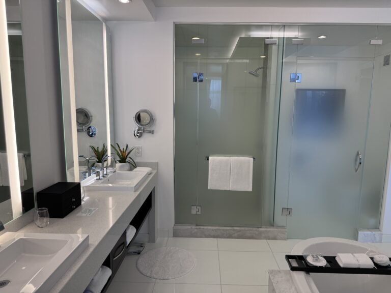 A Bathroom That Was Pure Luxury