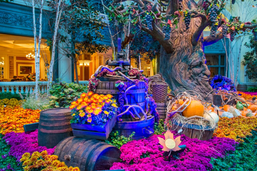 Unforgettable Romance in Las Vegas Awaits