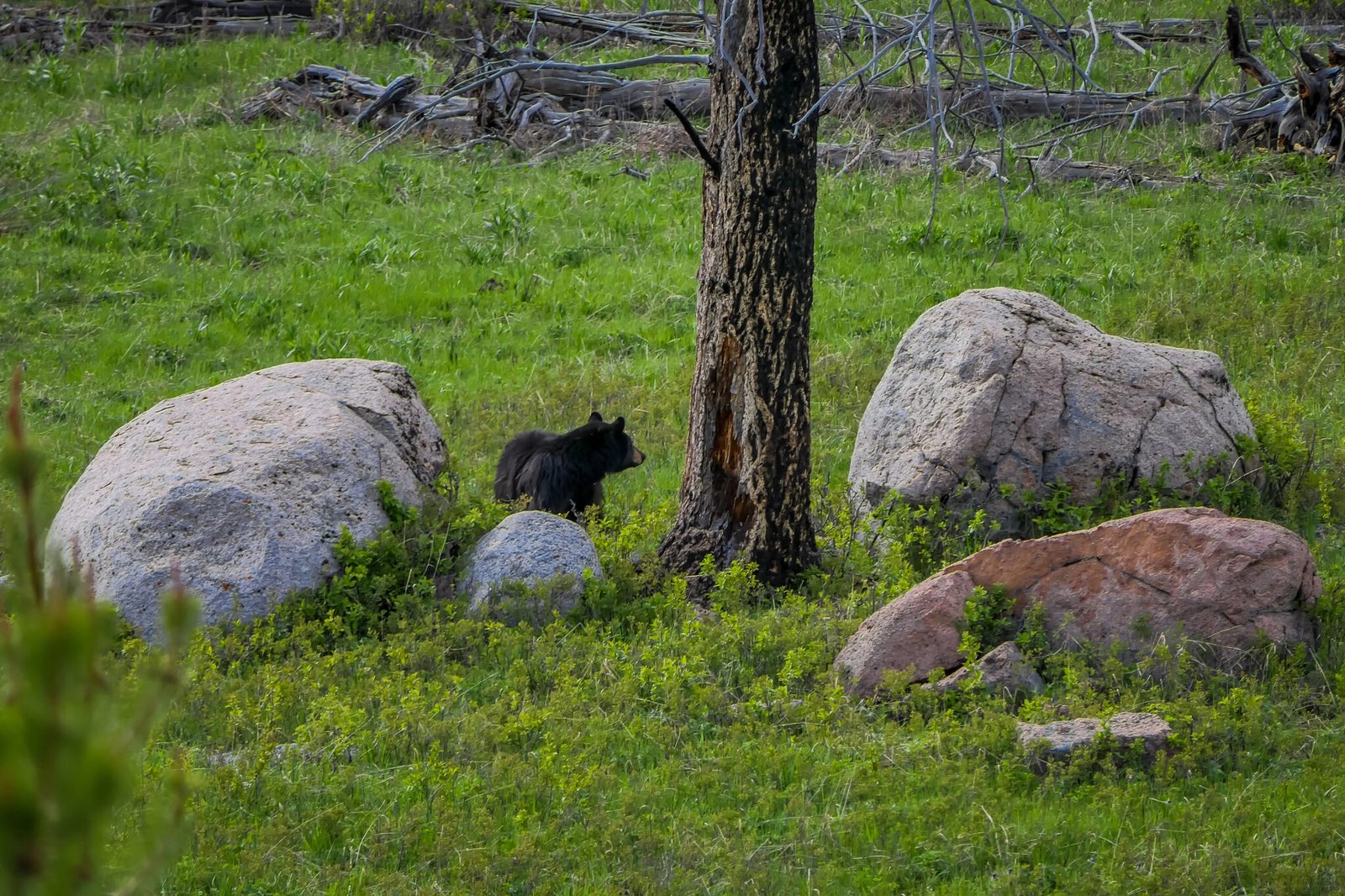 Depositphotos_209653004_XL