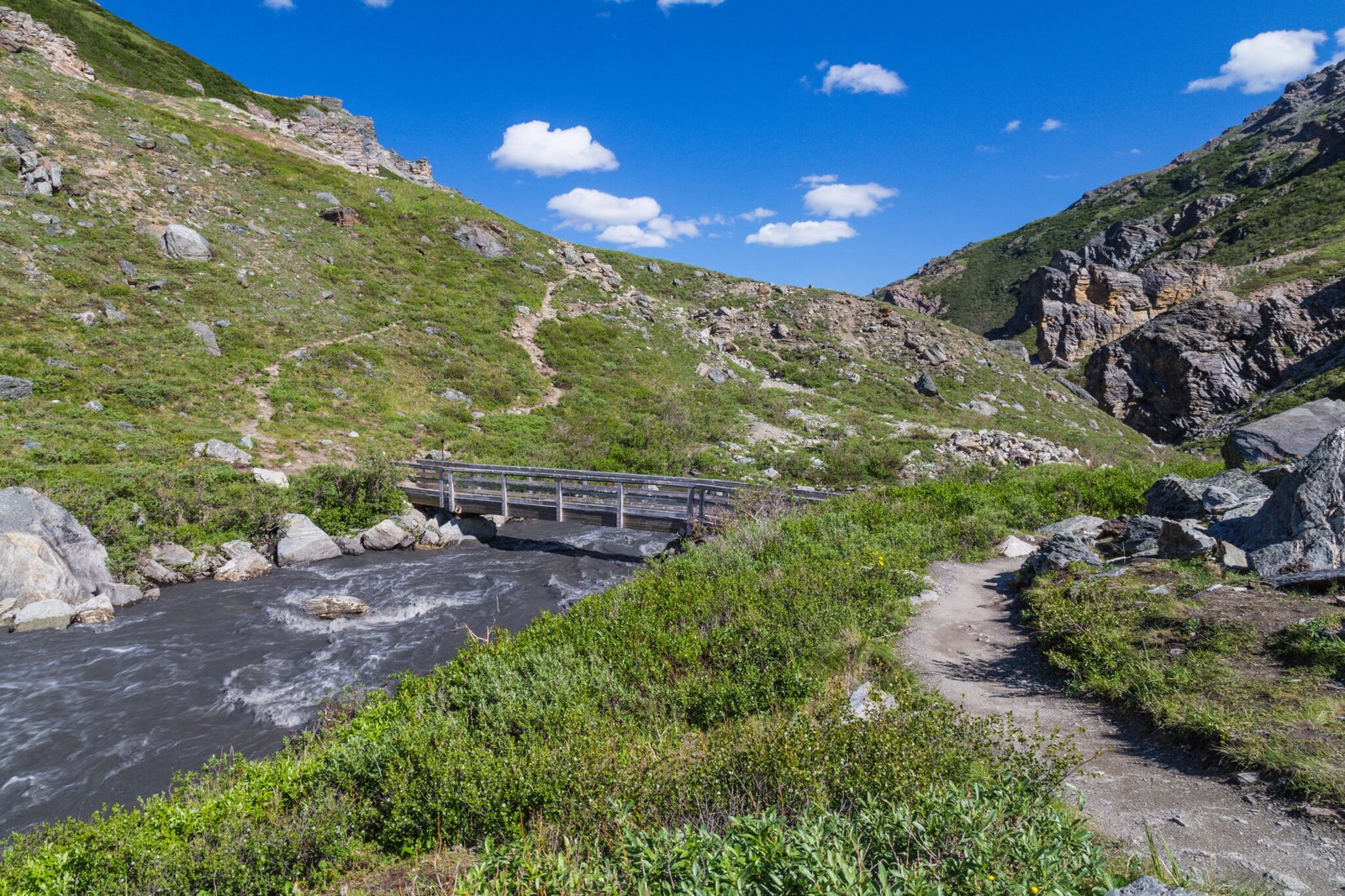 Savage River Trail in Denali National Park in Alaska, United States
