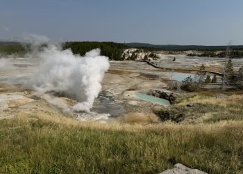 Yellowstone National Park is a fascinating blend of geothermal features and diverse ecosystems