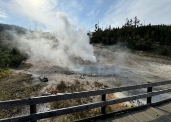 Yellowstone National Park is a fascinating blend of geothermal features and diverse ecosystems